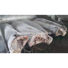 New arrive Frozen blue marlin price !HGT frozen blue marlin ! To Sri Lanka